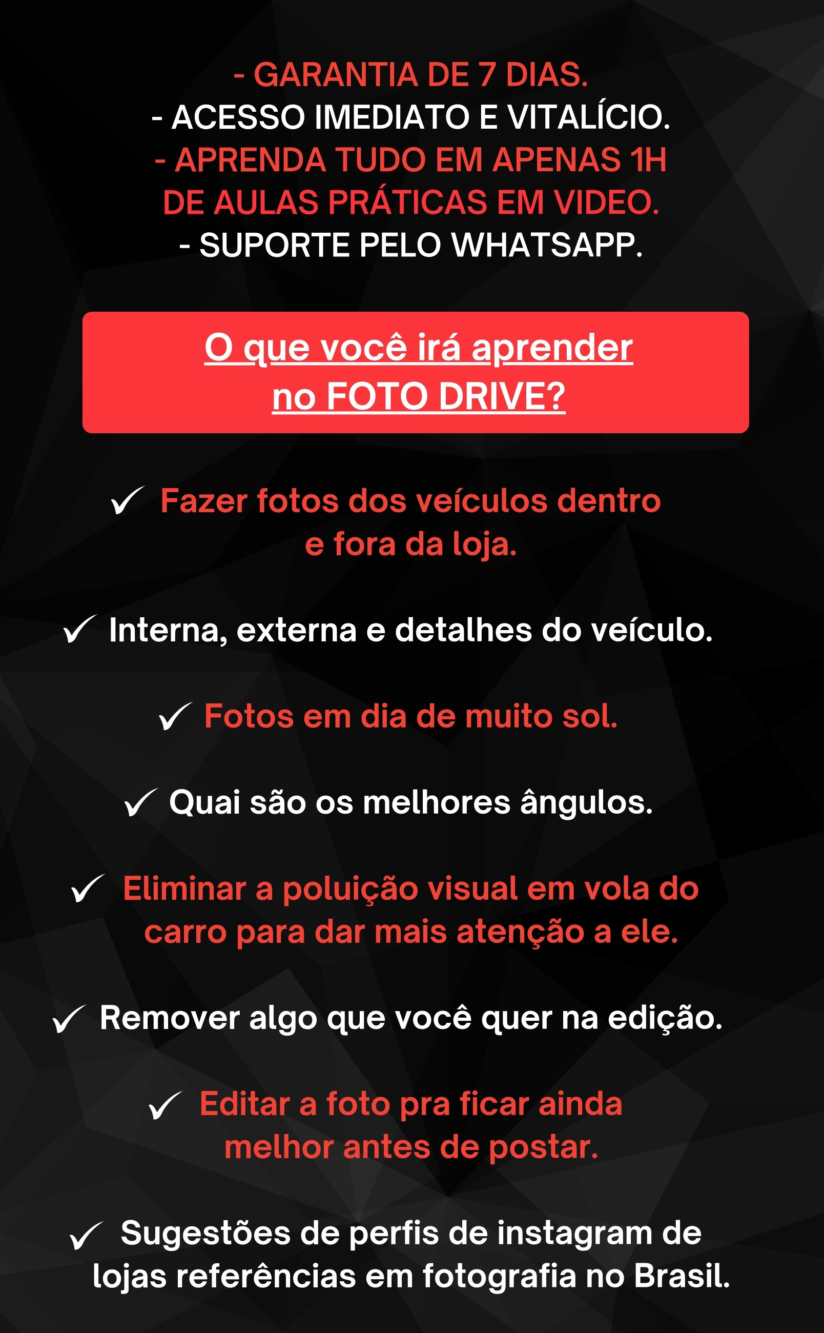 O que você irá aprender no FOTO DRIVE